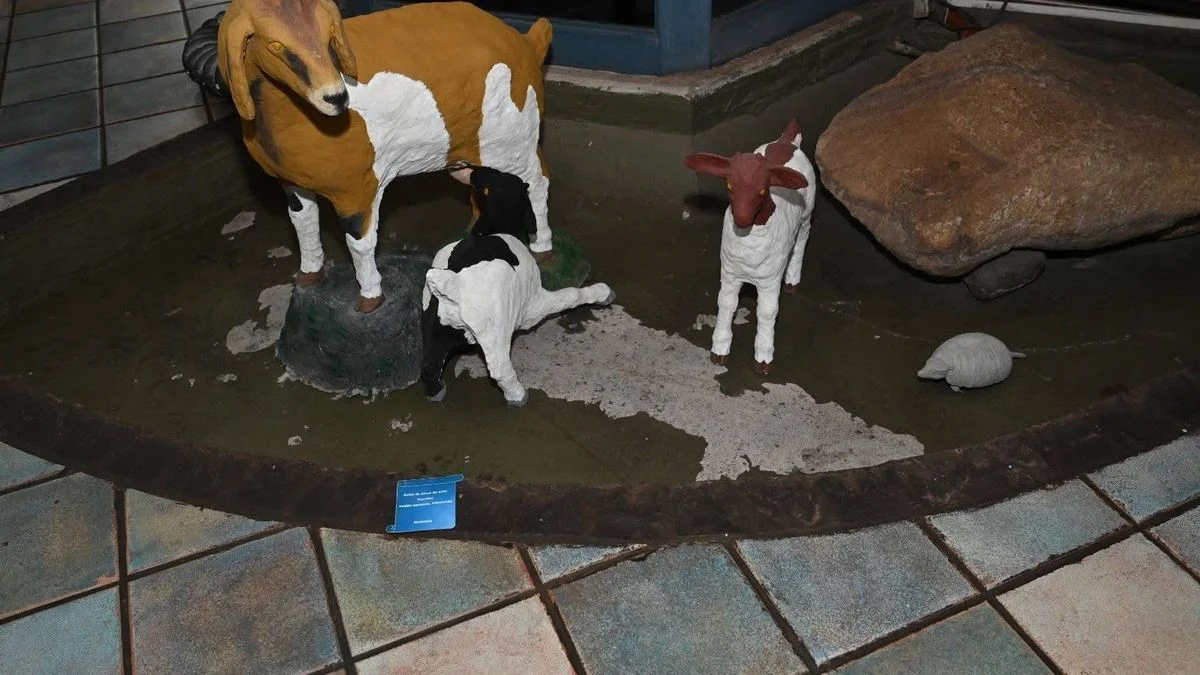 Celso Jaque recibió a un trabajador municipal que donó esculturas de animales autóctonos de Malargüe