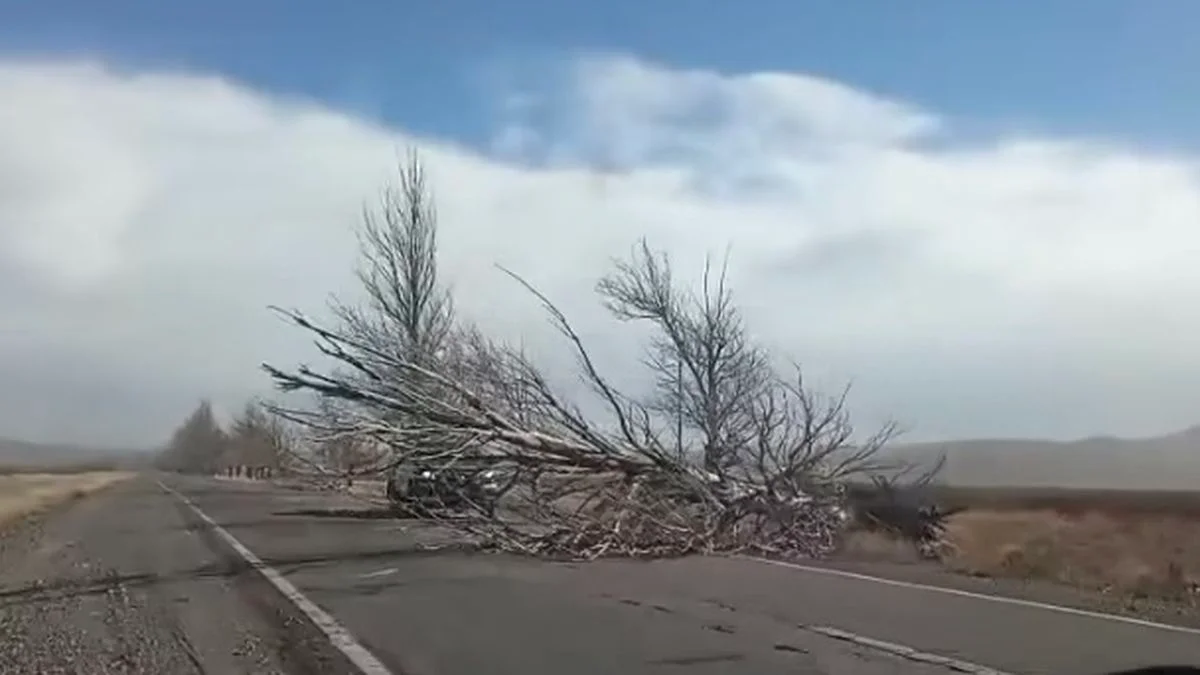 Viento Zonda: Malargüe y San Rafael, los departamentos más afectados en el Sur