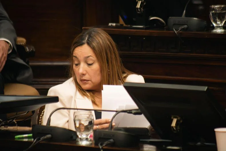Adriana Cano, la senadora del PJ que argument&oacute; el voto en contra del bloque.&nbsp;