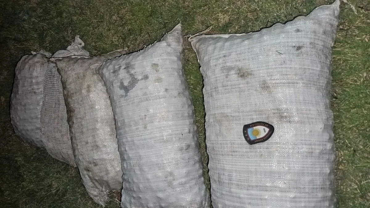 Frustran el robo de más de media tonelada de nueces en fincas de Tupungato