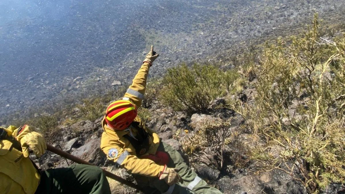 Un incendio en San Rafael afectó varias hectáreas de campo