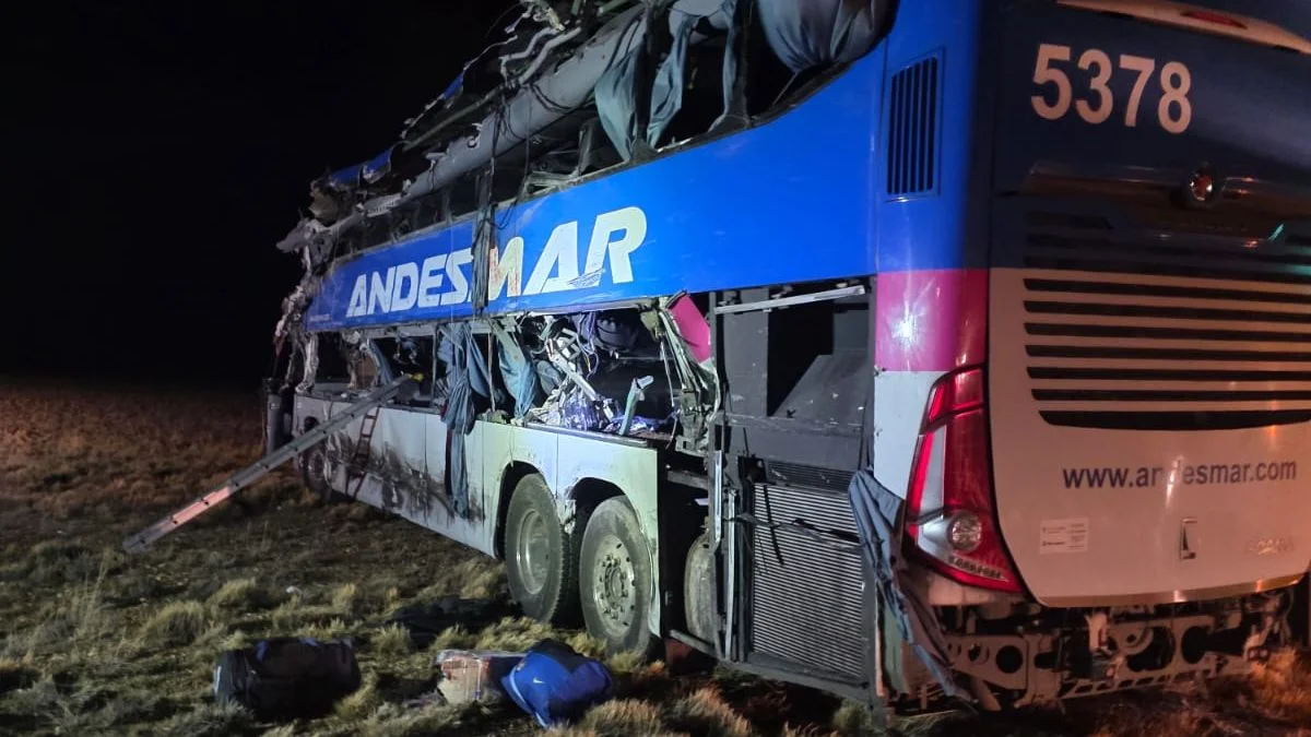 Santa Cruz: choque entre un camión y un micro de Andesmar deja cuatro muertos y decenas de heridos