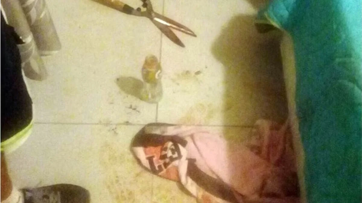 Le cortó el miembro a su amante durante un encuentro íntimo y ahora obtuvo la libertad condicional