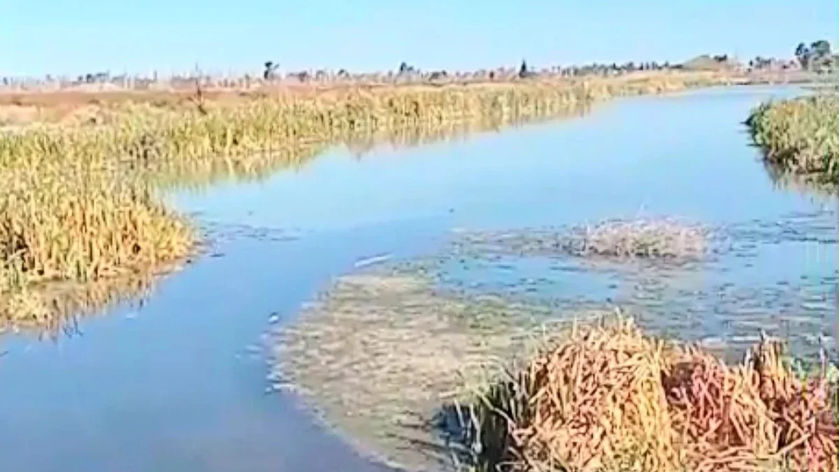 Crisis ambiental en Guaymallén: "Hay agua de cloacas en las calles, en las fincas y el frente de las casas"