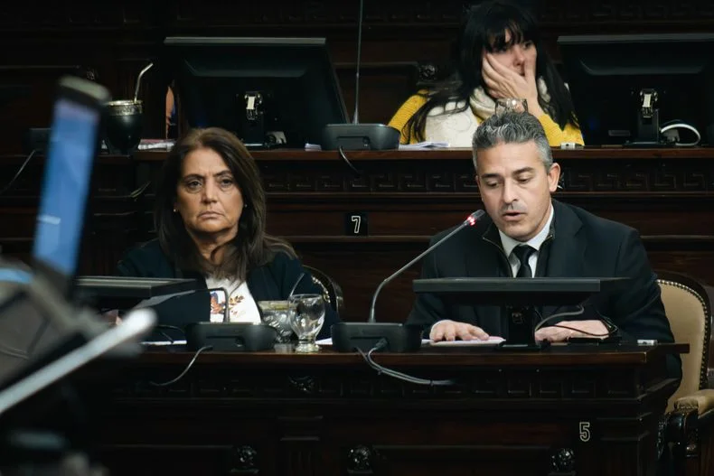 Gabriela Lizana (PJ) anticipó que votará en contra. Juan Pablo Gulino, también del mismo espacio, se abstuvo en comisiones pero si no hay cambios, rechazará el proyecto.  