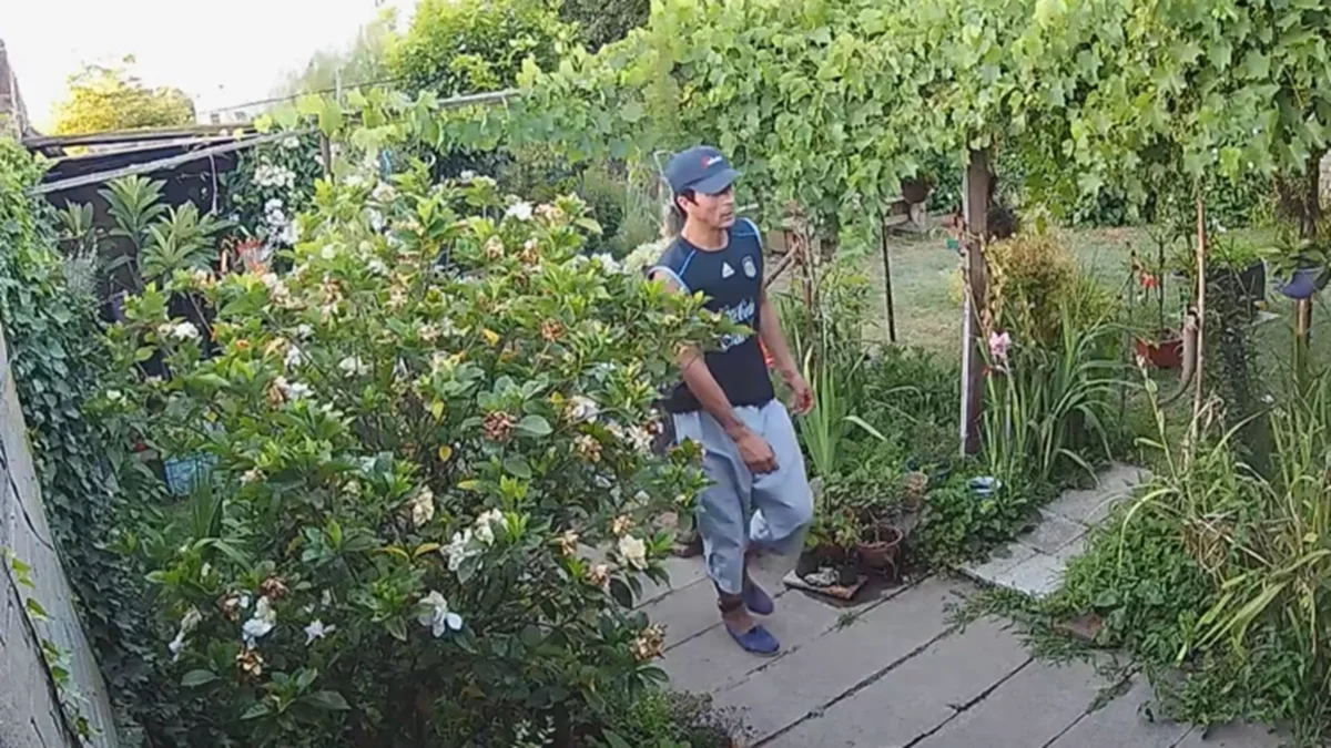 Salió a robar con la tobillera electrónica: un hombre ingresó a una vivienda y se robó dos pares de zapatillas