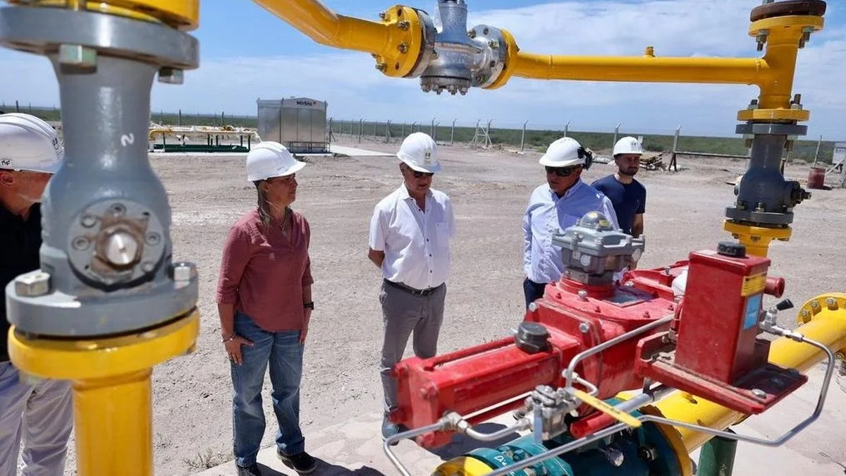 Gasoducto en San Rafael: el intendente Omar Félix inspeccionó una planta ubicada en el límite con San Carlos