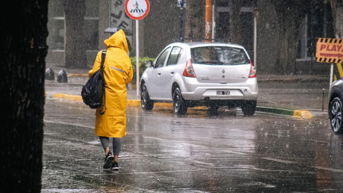 Lo que dejó la tormenta en Mendoza: casas inundadas, personas varadas y muchos destrozos