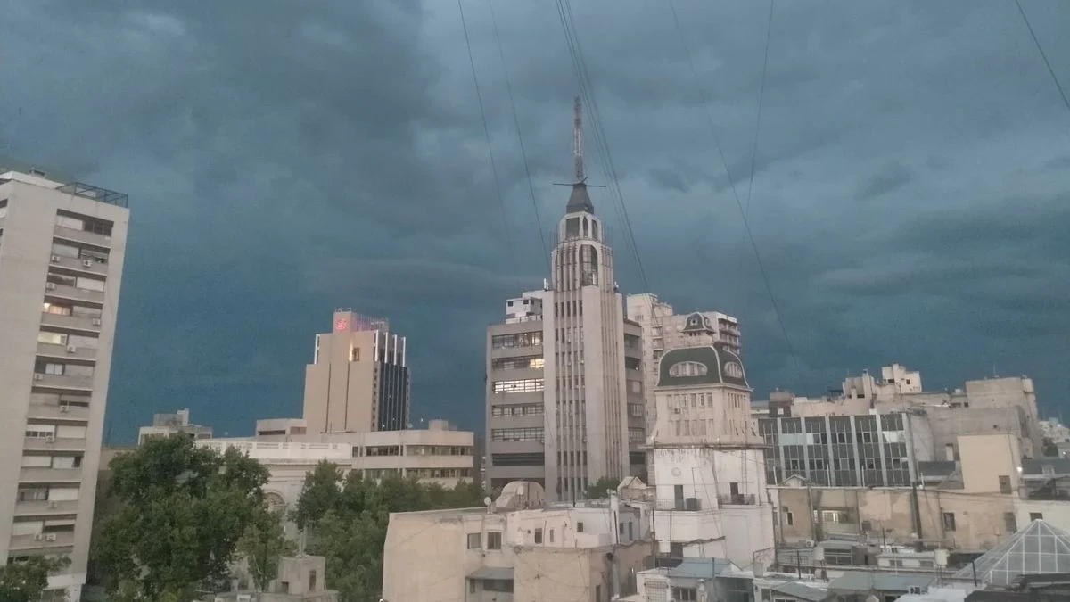 Caída de árboles, postes y cables: el viento causó múltiples daños en Mendoza