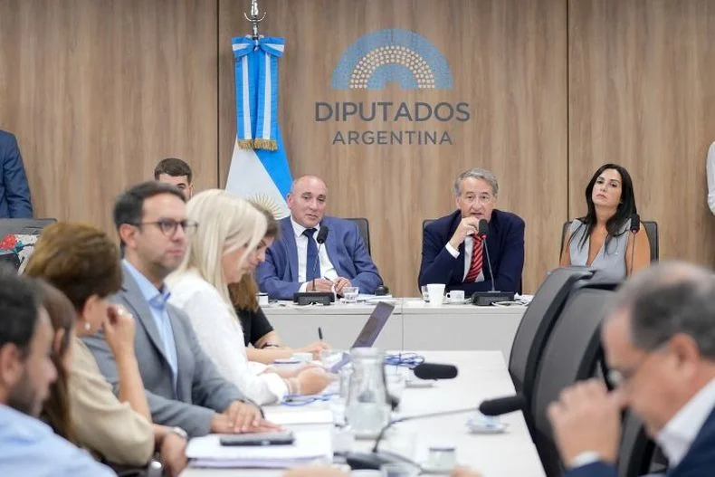 José Peluc y Nicolás Mayoraz, presidentes de las comisiones de Recursos Naturales y de Asuntos Constitucionales de la Cámara de Diputados, están en la mira por la jugada de Milei para limitar la participación en la audiencia por los Glaciares. 