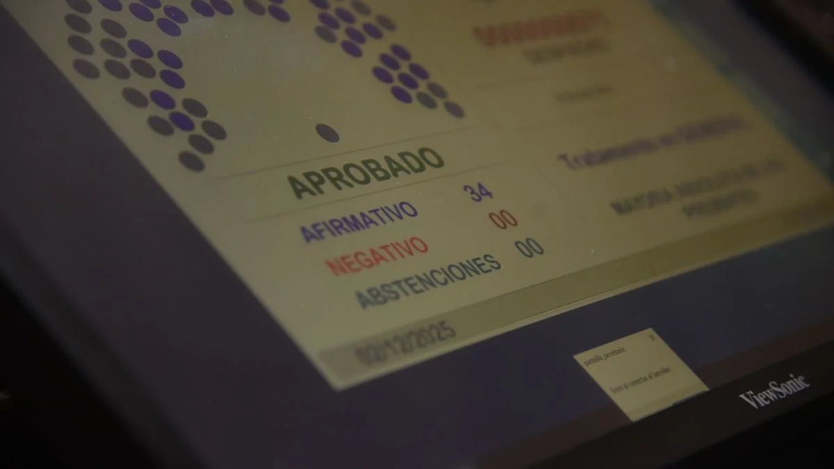 Avanzan en el Senado los cambios para un importante trámite que hacen privados
