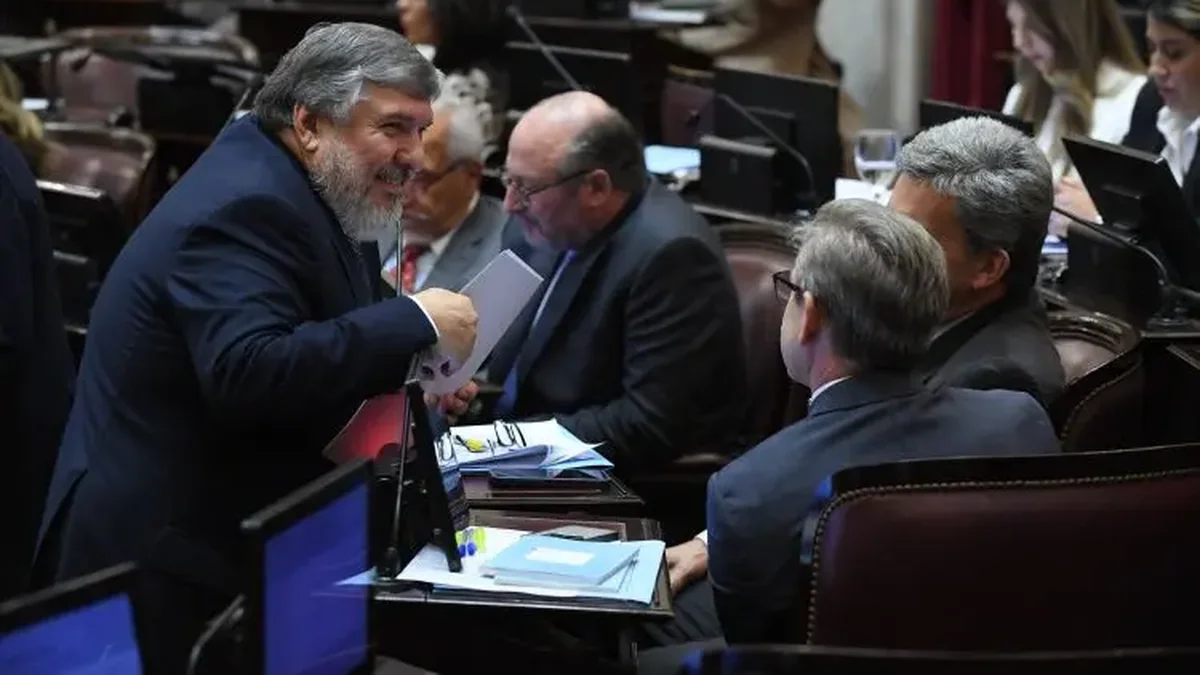 Sesión histórica: la oposición afina detalles para rechazar el veto a la emergencia en discapacidad