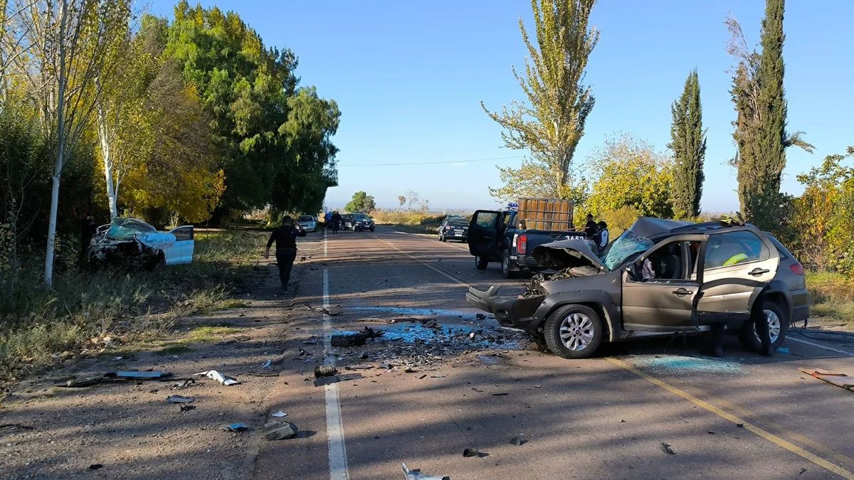 Una mujer murió en un accidente en Tupungato y el automovilista que la chocó intentó escapar