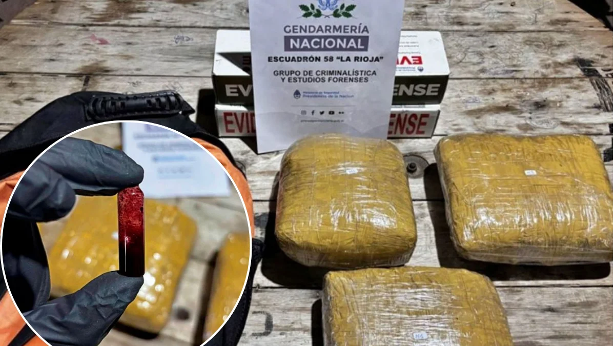 De Jujuy a Mendoza: incautaron tres kilos de marihuana ocultos en un micro de larga distancia