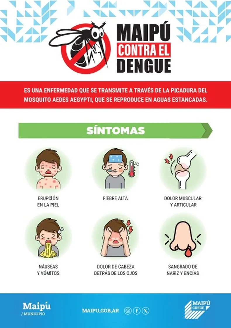 Maip&uacute; arranc&oacute; con una campa&ntilde;a para prevenir el dengue.&nbsp;