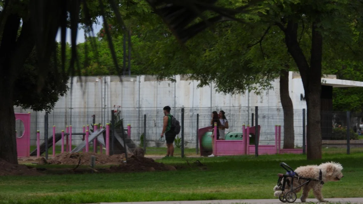 El tiempo en Mendoza: domingo con temperaturas agradables y poca nubosidad