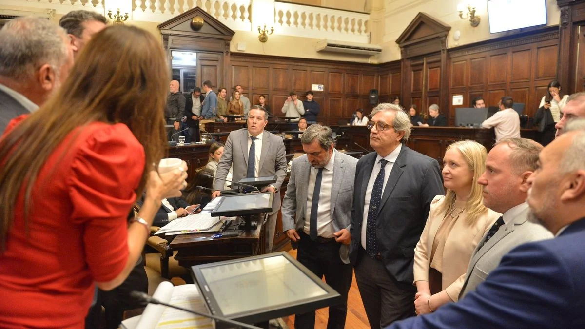 Poder en el Senado: la interna del PJ y el lugar de los libertarios en la nueva conformación