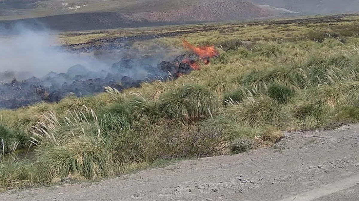 El fuego volvió a los campos de Malargüe: puesteros piden ayuda para no sufrir más daños