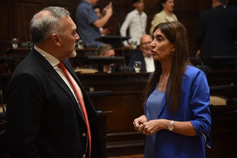 El proyecto que sanciona a familias en casos de acoso escolar, cont&oacute; con el apoyo de la oposici&oacute;n.&nbsp;