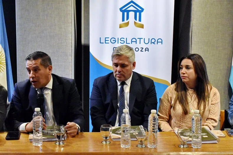El senador David Sáez levantó la voz por el oficialismo ante la iniciativa de la Corte. El diputado Germán Gómez ve con buenos ojos la iniciativa. 