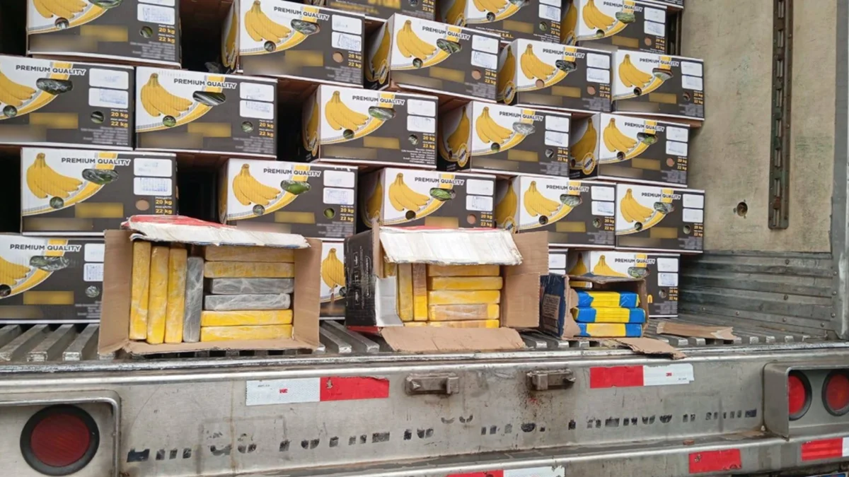 Cocaína escondida entre bananas: un camión venía de Bolivia con más de 50 kilos de droga