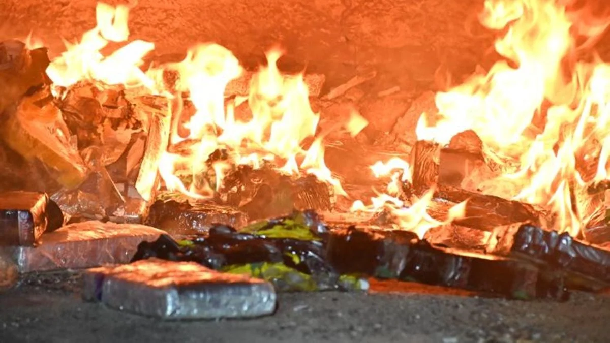 Policías acusados de robar cocaína: siete efectivos quedaron presos tras una quema oficial de droga