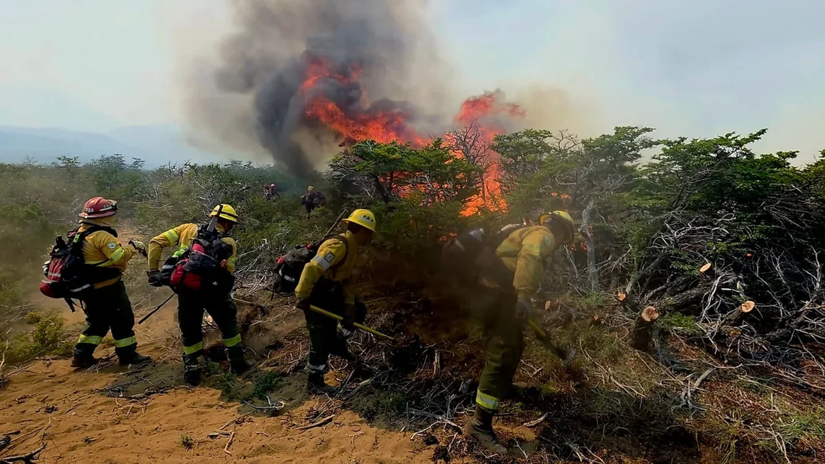 Brigadistas en Chubut: los incendios "son cada vez más violentos y prolongados"