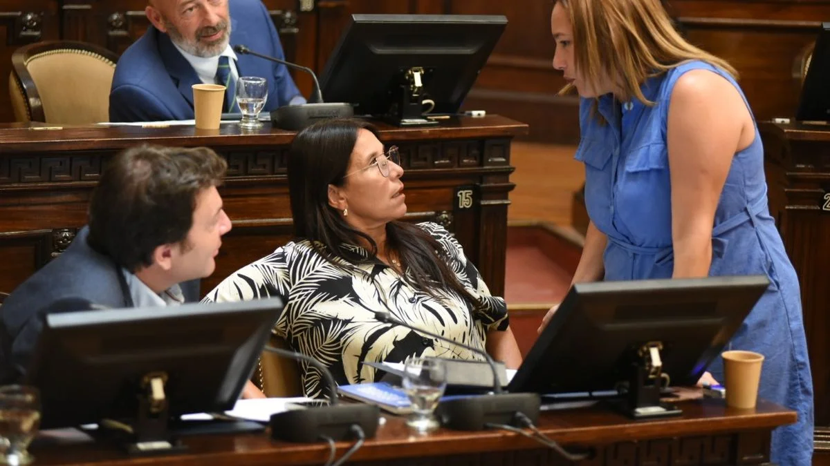 Legislatura: la oposición rechazó los cambios al Código Procesal Penal