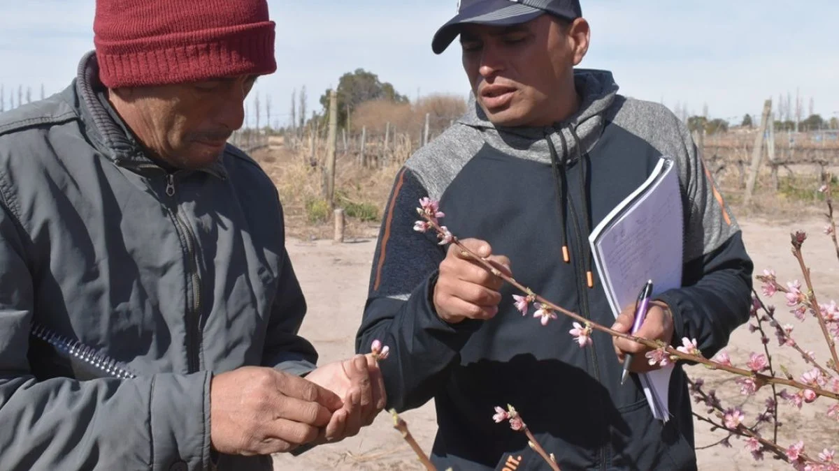 Nueva formación en la UNCuyo: en dos meses podés recibirte de encargado de finca