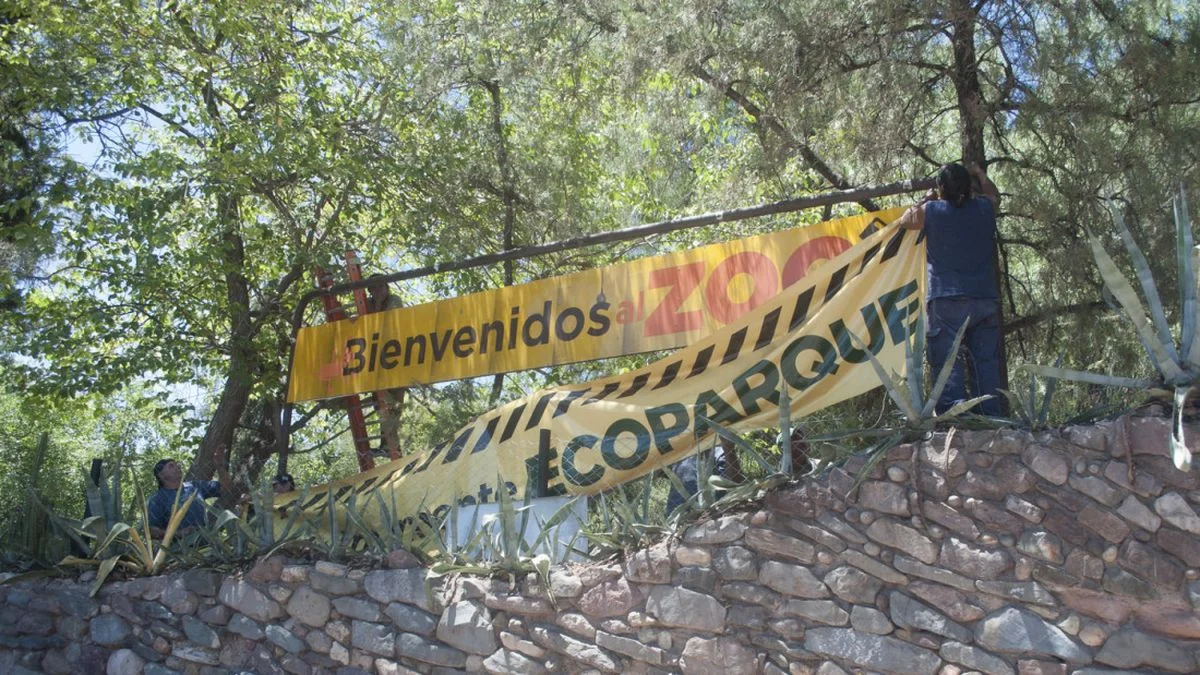 Ecoparque de Mendoza: ¿por qué hace diez años está cerrado y cuándo volverá a abrir?