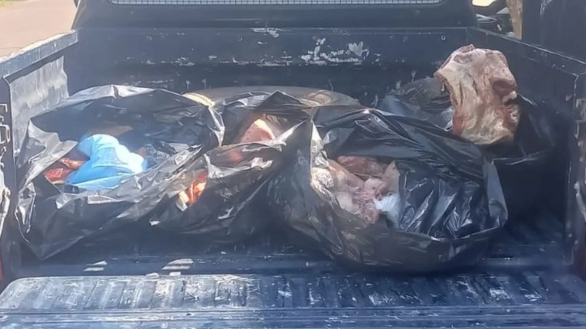 Decomiso de 113 kilos de carne no apta para consumo en un comercio de San Rafael
