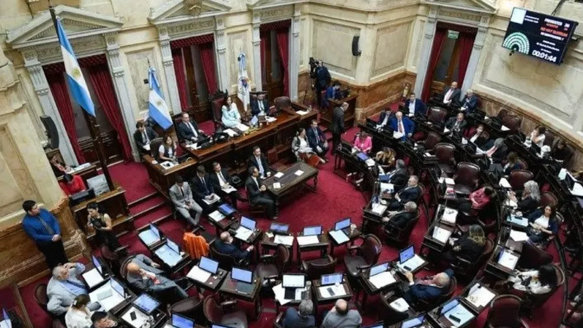El Senado rechazó el proyecto de Ficha Limpia por un solo voto