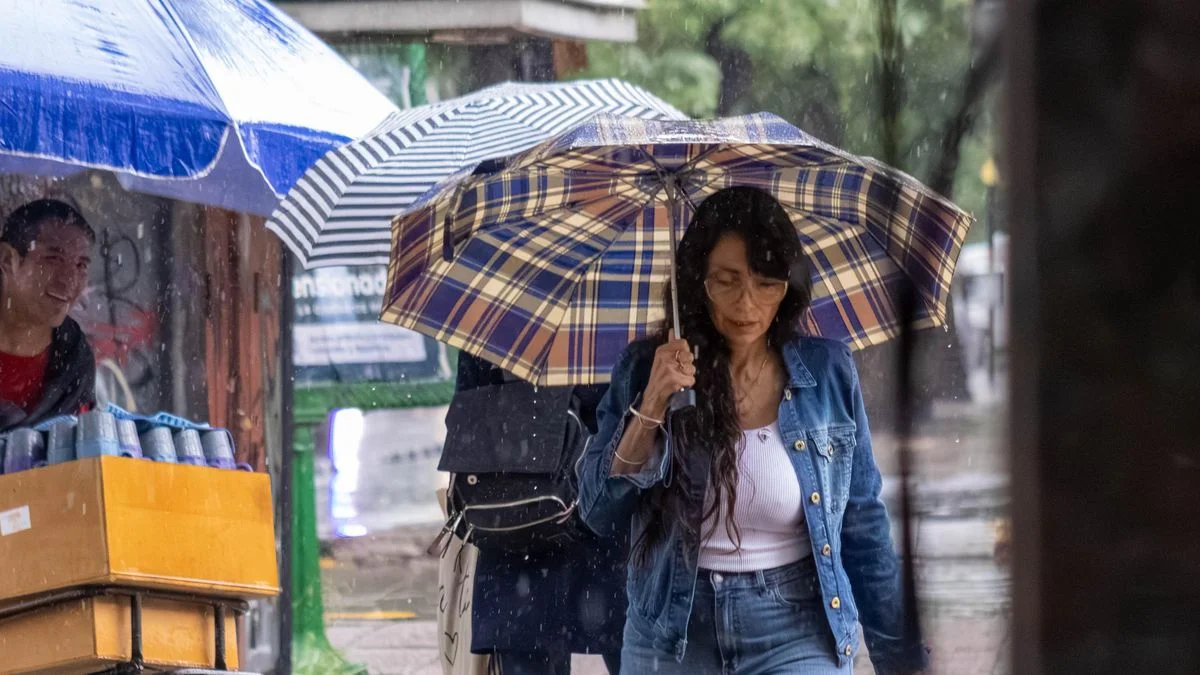 Tormentas y viento Zonda: el panorama que le espera a los mendocinos luego de la Navidad