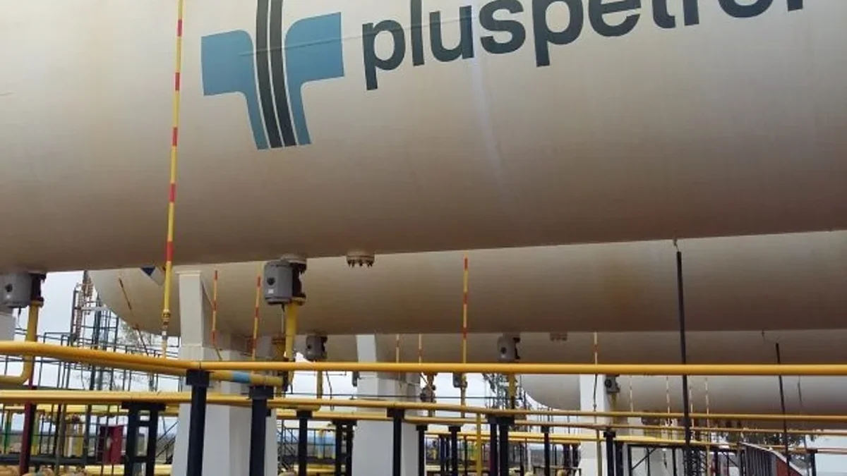 Pluspetrol, de la mujer más rica del país, pidió la adhesión al RIGI con una inversión de USD 12.000 millones