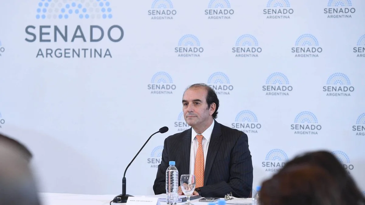 Manuel Garc&iacute;a-Mansilla, actual ministro de la Corte, tuvo la Audiencia P&uacute;blica en la que representantes del Senado le hicieron preguntas, como la Anabel Fern&aacute;ndez Sagasti.&nbsp;