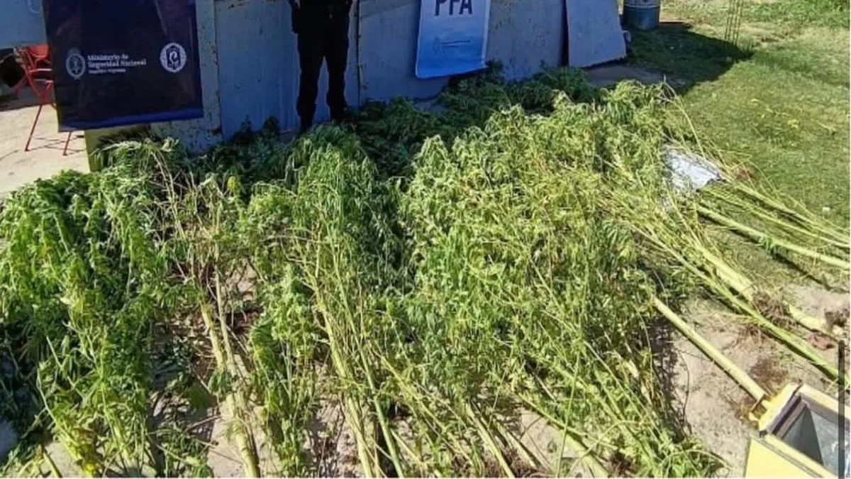 La Policía Federal de San Rafael irrumpió en una casa del barrio El Molino y halló mucha droga