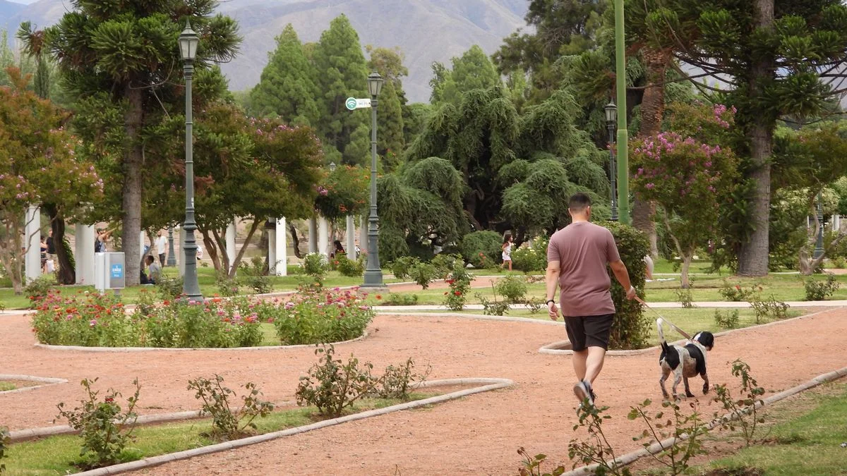 El tiempo en Mendoza: caluroso y algo nublado