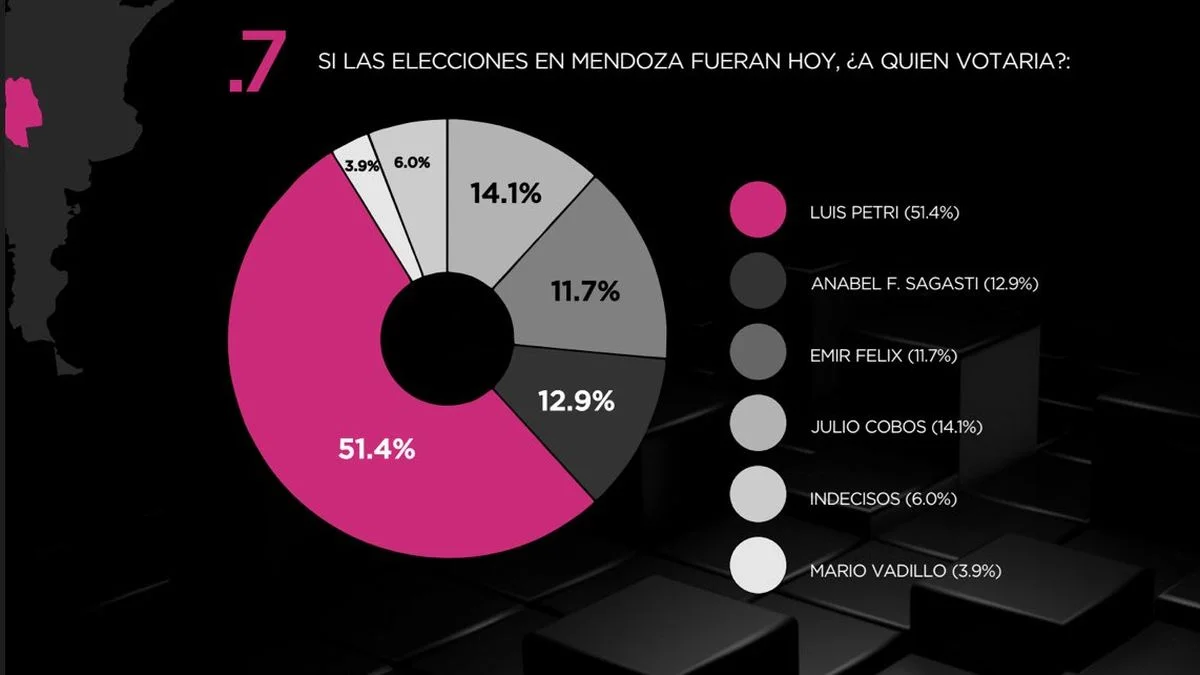 Encuesta en Mendoza: Petri lidera con 51% y La Libertad Avanza supera el 56% de intención de voto