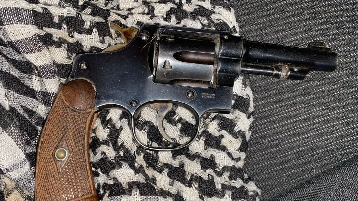 Detienen a una mujer con un arma de fuego durante un control en Godoy Cruz
