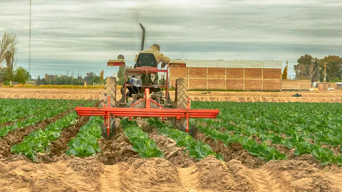 "Maipú Agrolimpio" apunta a transforma residuos peligrosos en recursos para el sector agrícola.