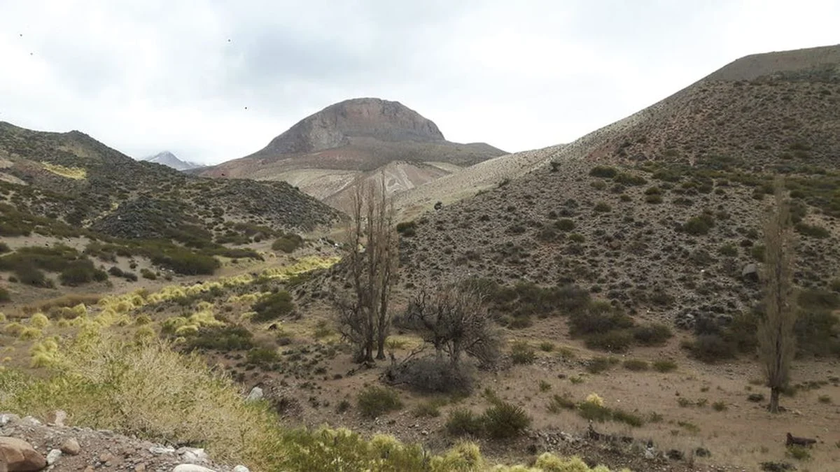 San Rafael: buscan reabrir el camino a Valle de las Aucas para favorecer el traslado de animales