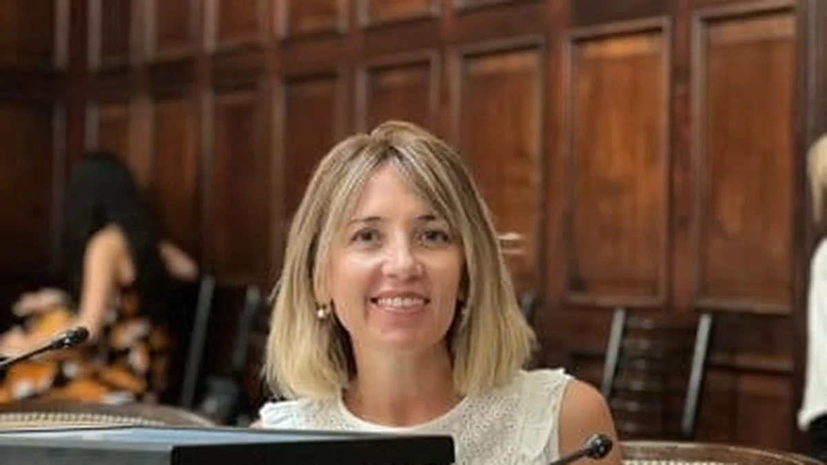 Curiosidades de la alianza: una diputada del Pro presiona al Gobierno por la autonomía municipal