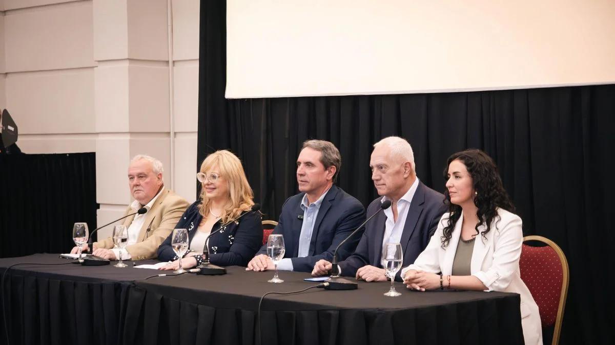 Las duras declaraciones de una candidata del Pro en contra del Gobierno nacional