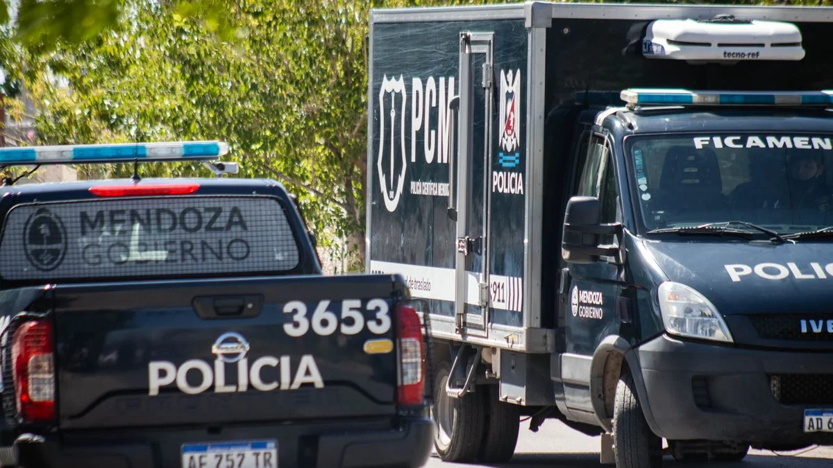 Hieren a una mujer de un disparo y por el intento de femicidio acusan a su ex pareja