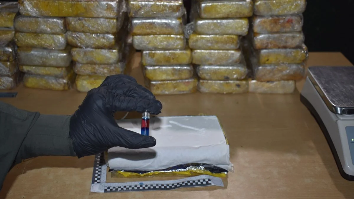 Con ayuda de un perro antinarcóticos detectaron 42 kilos de cocaína ocultos en un auto en Jujuy