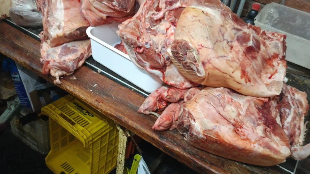 Decomisan 118 kilos de carne en mal estado y clausuran un trozadero en Godoy Cruz