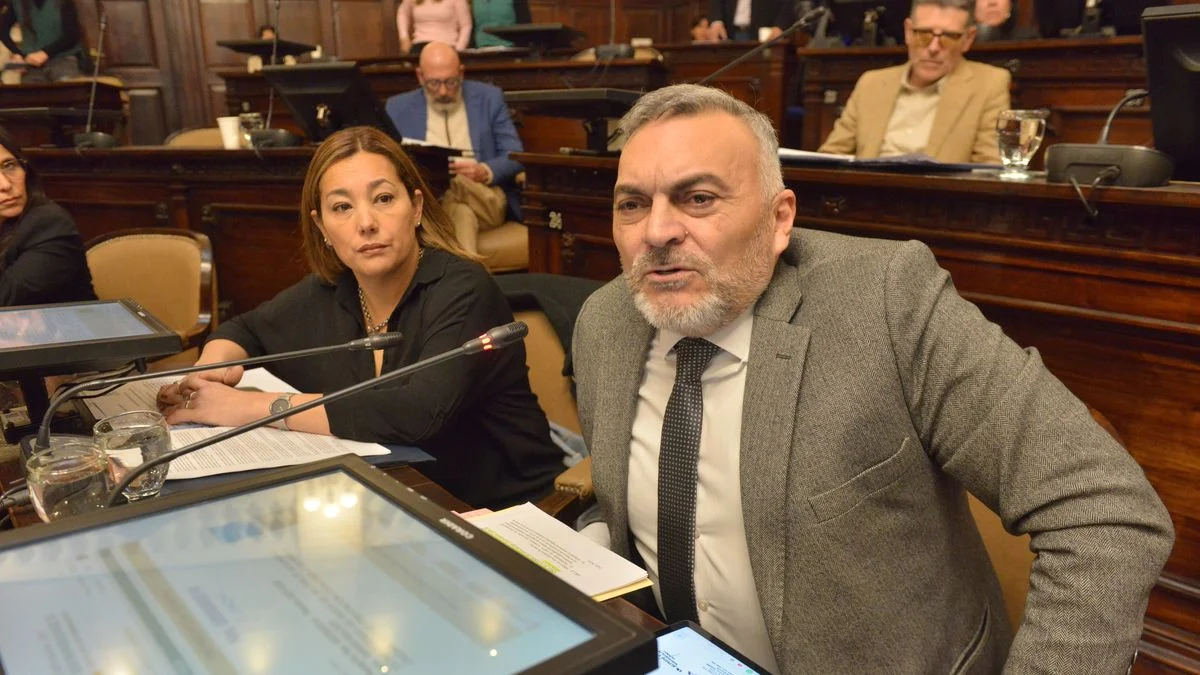 Las razones del PJ para rechazar la ley de seguridad ciudadana que salió con votos oficialistas y un díscolo