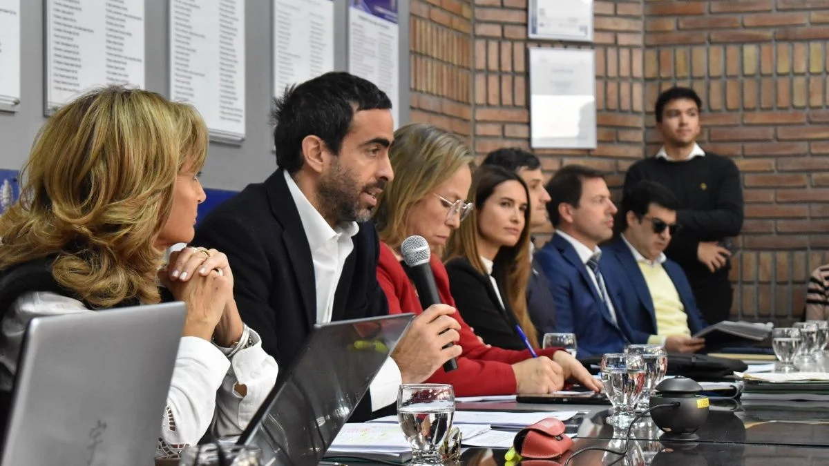 Fayad defendió en la Legislatura el blindaje impositivo para los negocios que adhieran al RIMI