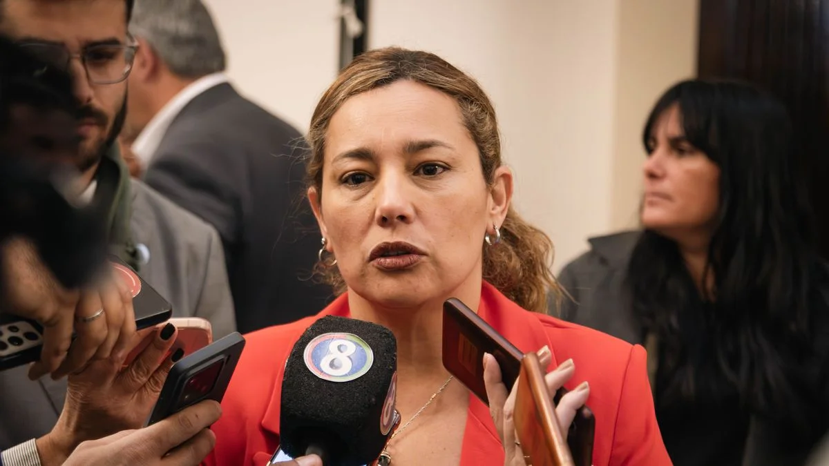 Una senadora del PJ vinculó al kirchnerismo con Cornejo y facturaron las votaciones