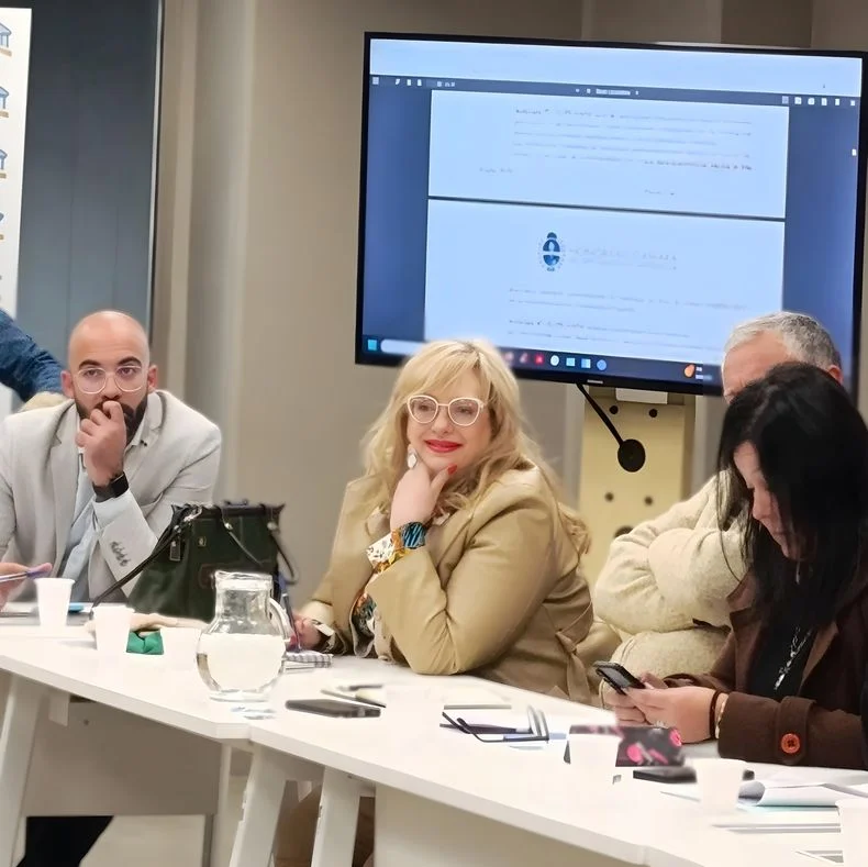 La senadora Flavia Manoni critic&oacute; a diputados nacionales del radicalismo por el voto en contra de tratar sobre tablas proyectos de financiamiento educativo.&nbsp;